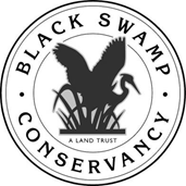 Black Swamp Conservancy