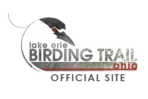 birdingtrail