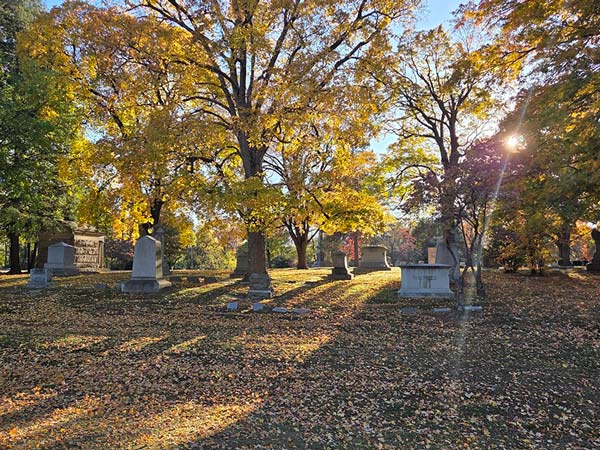 Evening stroll in cemetery photo