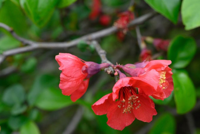 woodlawn janet r weiden woodlawn janet r weiden