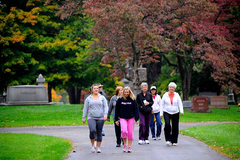 people walking on path at woodlawn cemetery photo