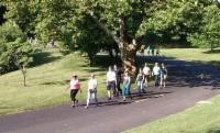 people walking on path at woodlawn cemetery photo
